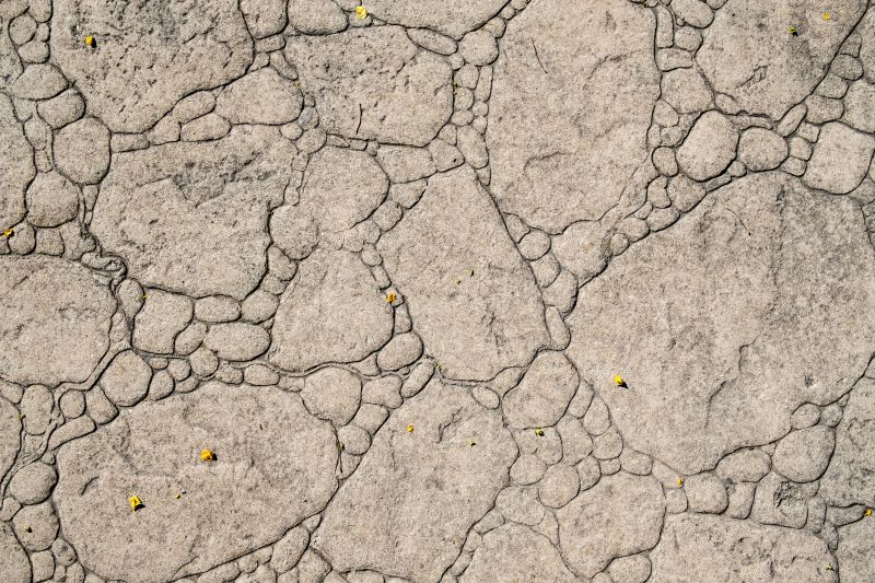 Decorative Concrete Repair in Boynton Beach, FL